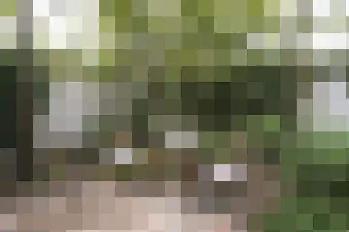 Frederikstraat 6 Velp thumbnail 61