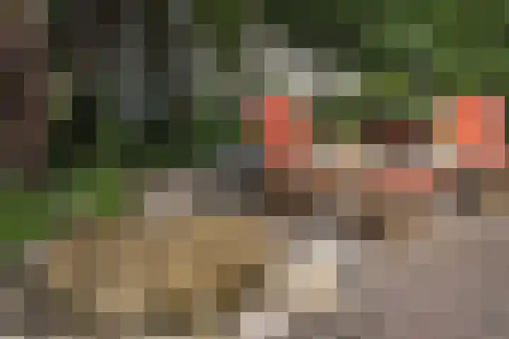 Frederikstraat 6 Velp thumbnail 64