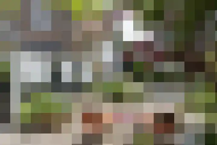 Frederikstraat 6 Velp thumbnail 65