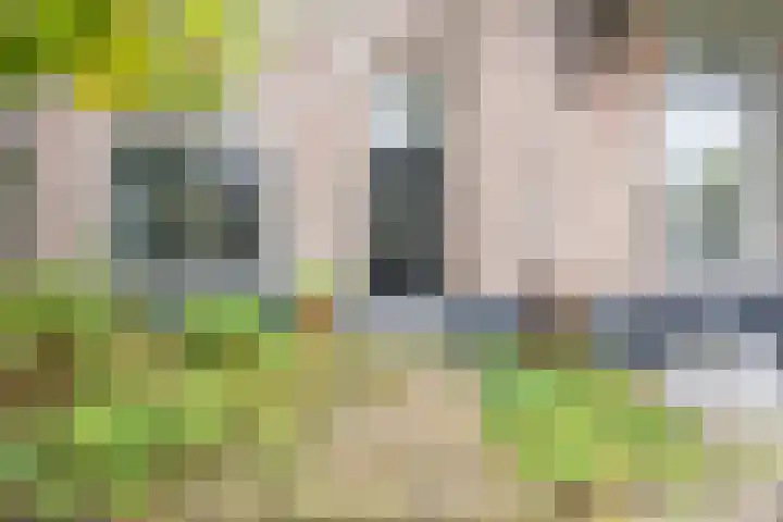Frederikstraat 6 Velp thumbnail 8