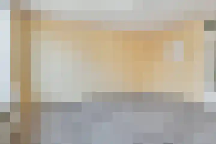 Frees 1 Huissen thumbnail 10