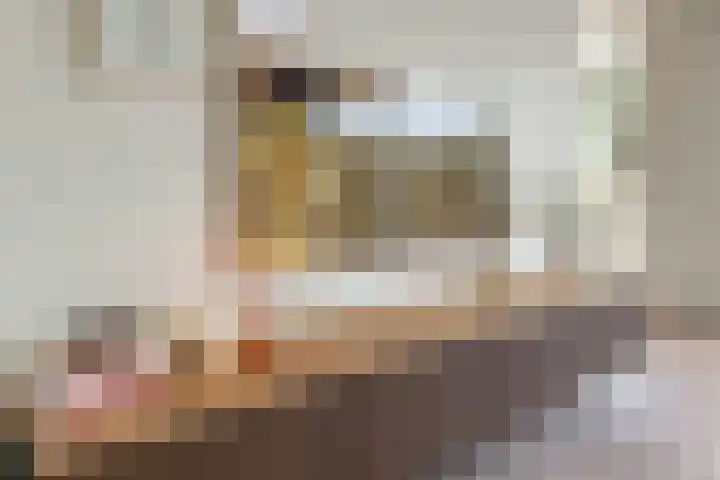 Frees 1 Huissen thumbnail 10