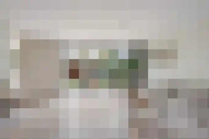 Frees 1 Huissen thumbnail 11