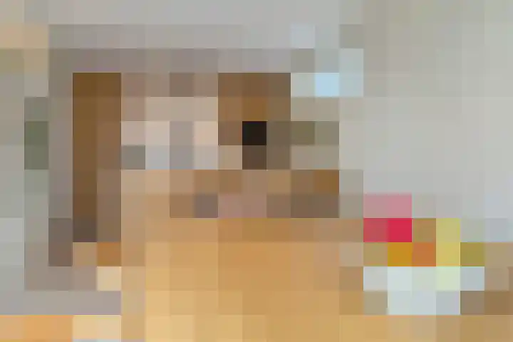Frees 1 Huissen thumbnail 13