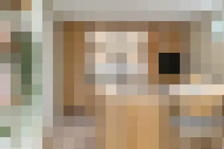 Frees 1 Huissen thumbnail 15