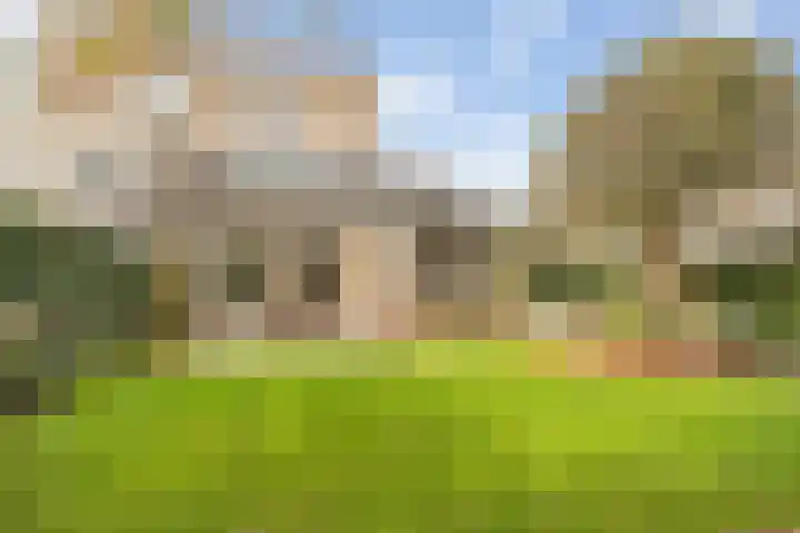 Frees 1 Huissen foto 2