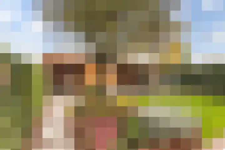 Frees 1 Huissen thumbnail 21
