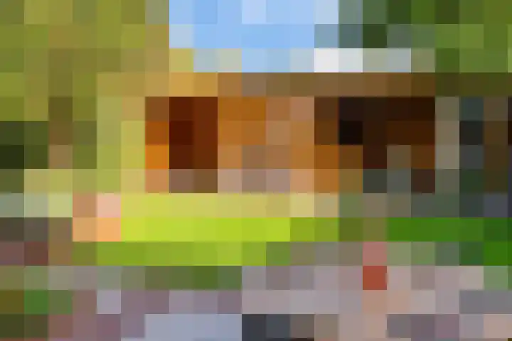 Frees 1 Huissen thumbnail 24