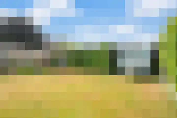 Frees 1 Huissen thumbnail 31