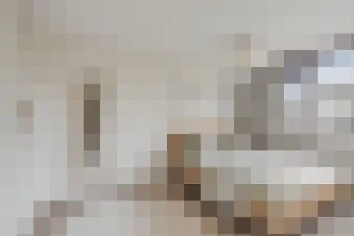 Frees 1 Huissen thumbnail 37