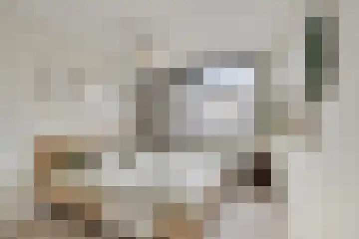 Frees 1 Huissen thumbnail 38