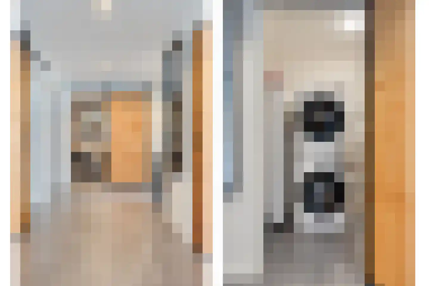 Frees 1 Huissen thumbnail 43