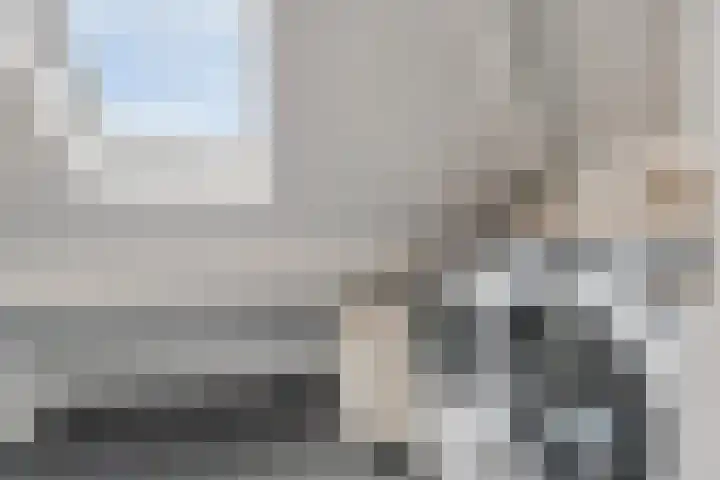 Frees 1 Huissen thumbnail 43