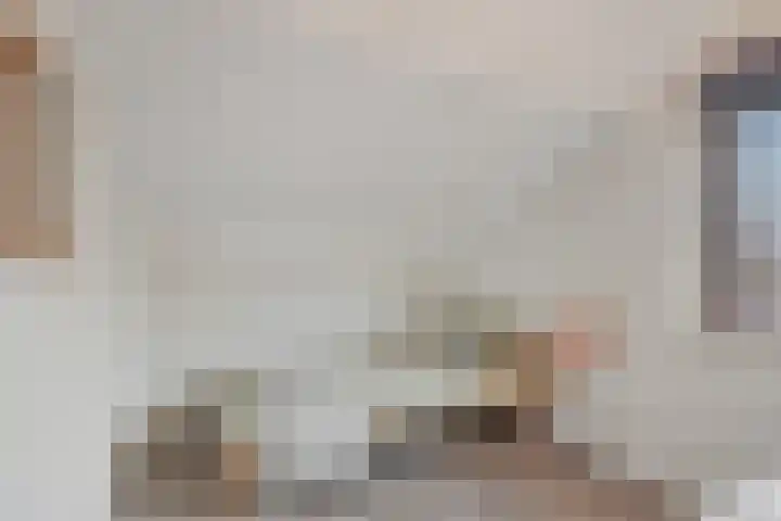 Frees 1 Huissen thumbnail 45
