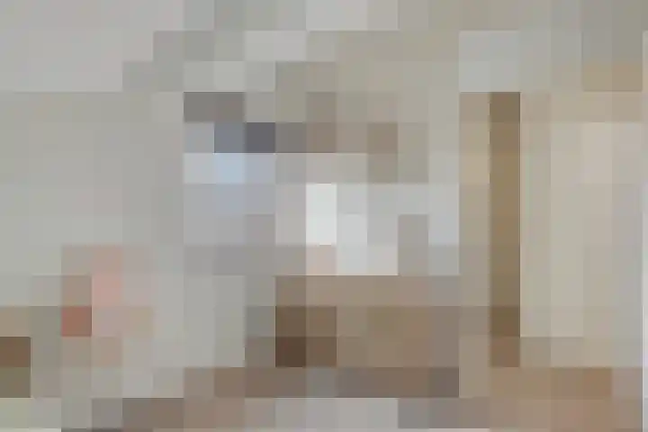 Frees 1 Huissen thumbnail 46