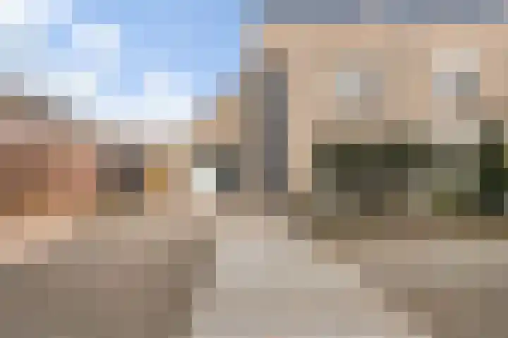 Frees 1 Huissen thumbnail 50