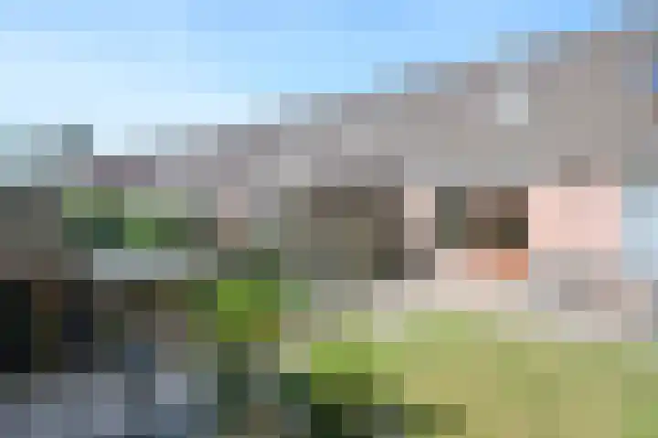 Frees 1 Huissen thumbnail 7