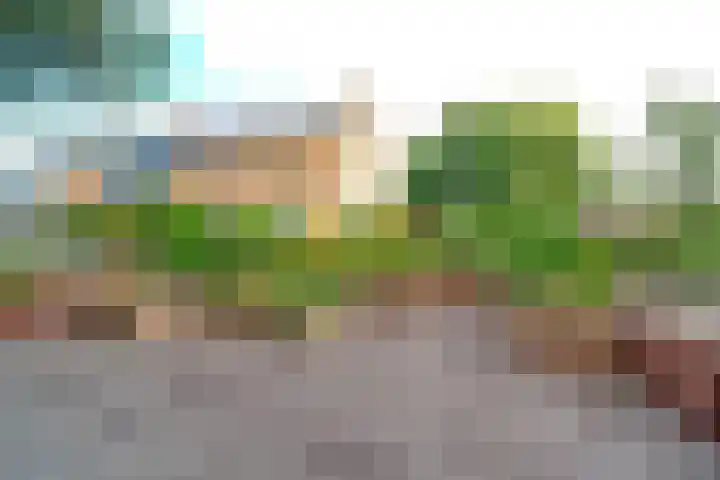 Freesiaplein 4 's-Gravenzande thumbnail 27