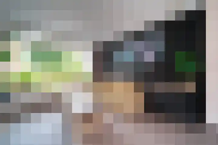 Freesiaplein 4 's-Gravenzande thumbnail 5