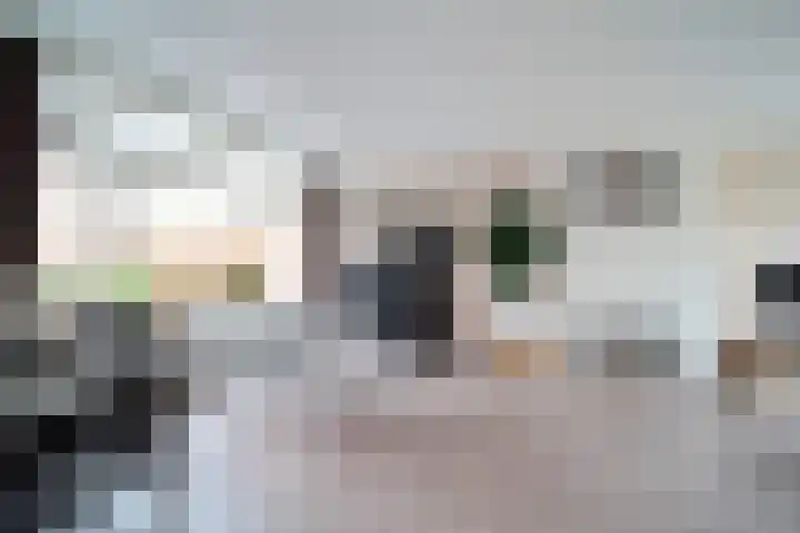 Freesiaplein 4 's-Gravenzande thumbnail 7