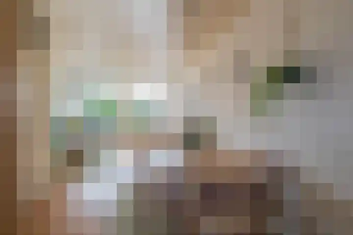 Fregat 39 Brielle thumbnail 18