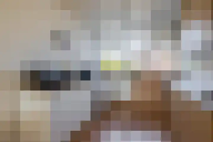 Fregat 39 Brielle thumbnail 20