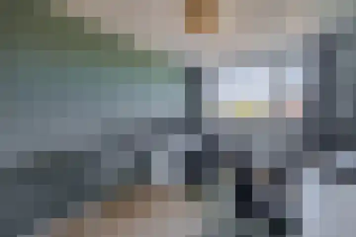 Fregat 39 Brielle thumbnail 30
