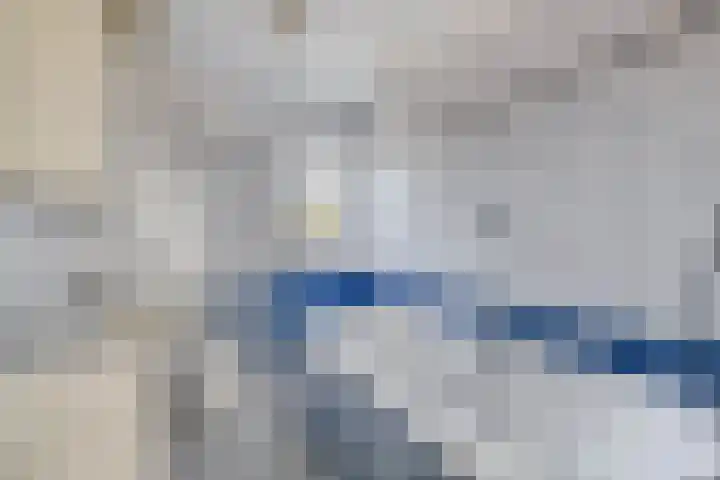 Fregat 39 Brielle thumbnail 31