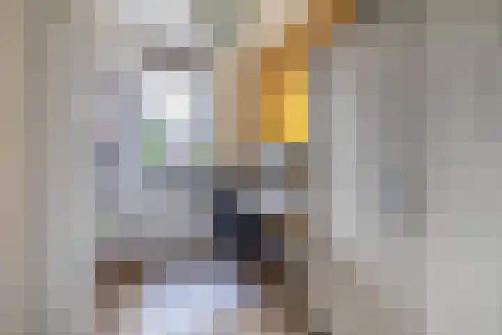 Fregat 42 Brielle thumbnail 26