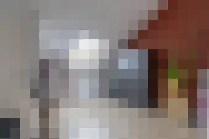 Fregat 42 Brielle thumbnail 31