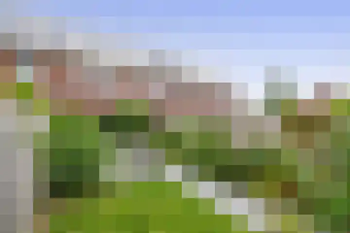 Fregat 42 Brielle thumbnail 37