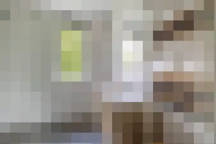 Fregat 42 Brielle thumbnail 4