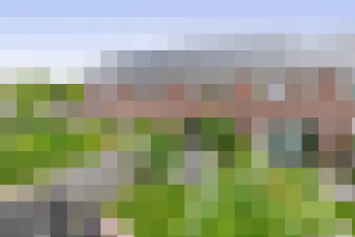 Fregat 42 Brielle thumbnail 40