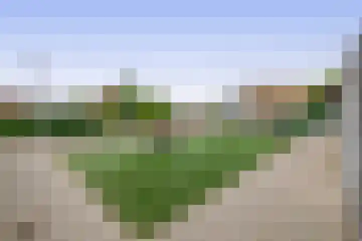 Fregat 42 Brielle thumbnail 42