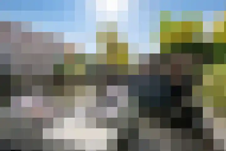 Fregat 85 Velserbroek thumbnail 26