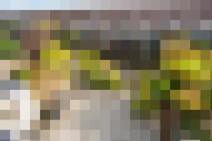 Fregat 85 Velserbroek thumbnail 34