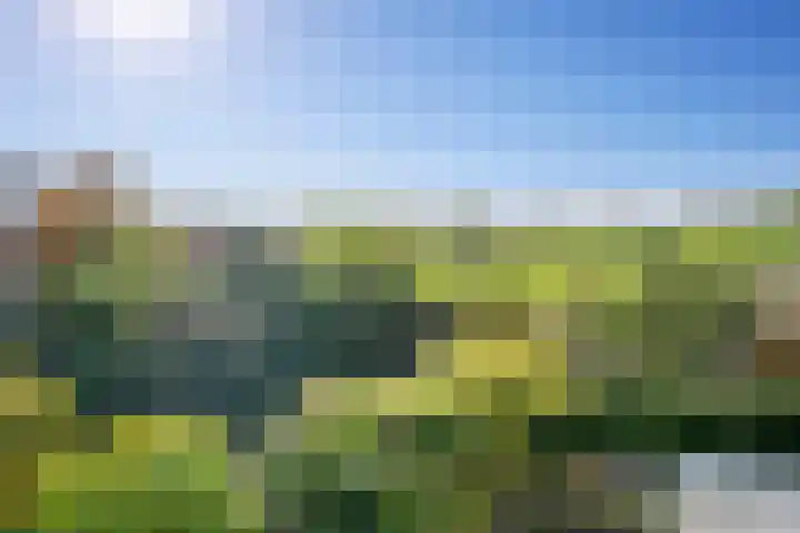 Fregat 85 Velserbroek thumbnail 35