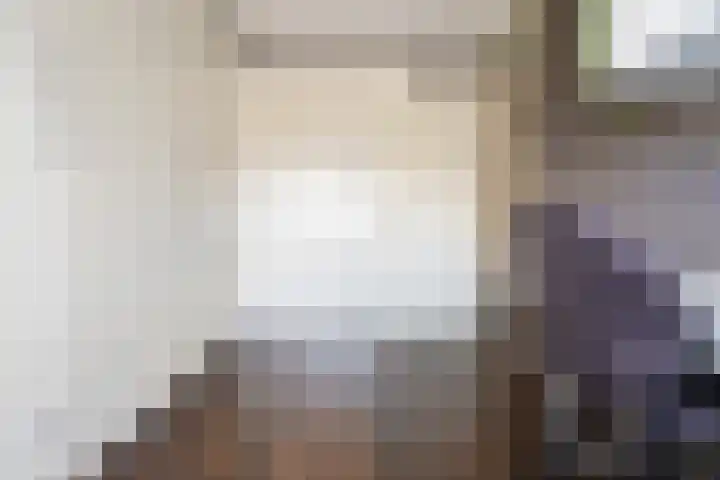 Fregat 85 Velserbroek thumbnail 37