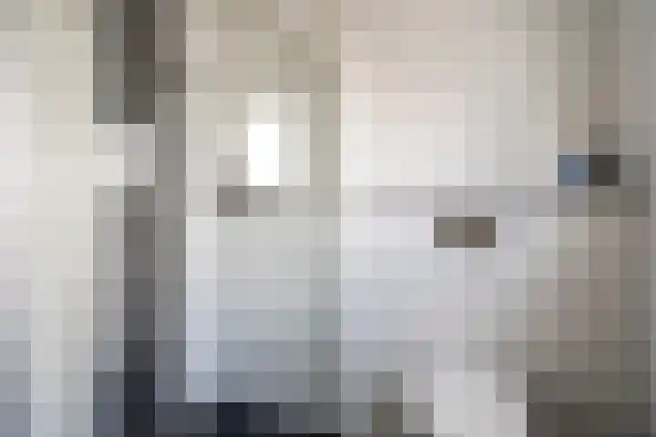 Fregat 85 Velserbroek thumbnail 41
