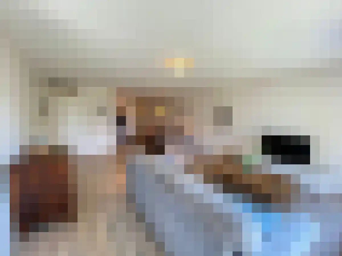 Frekehof Leidschendam foto 2