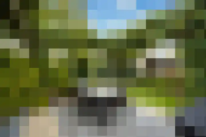Frekehof Leidschendam thumbnail 4