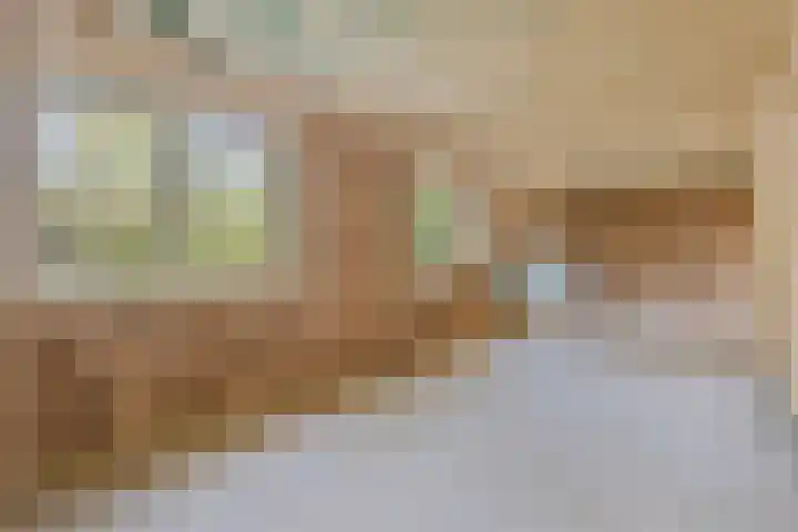 Fresia 2 Vinkel thumbnail 12