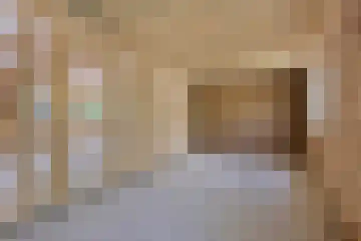 Fresia 2 Vinkel thumbnail 13