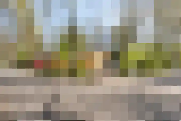 Fresia 2 Vinkel thumbnail 15