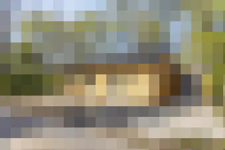 Fresia 2 Vinkel thumbnail 21