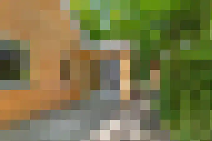Fresia 2 Vinkel thumbnail 7