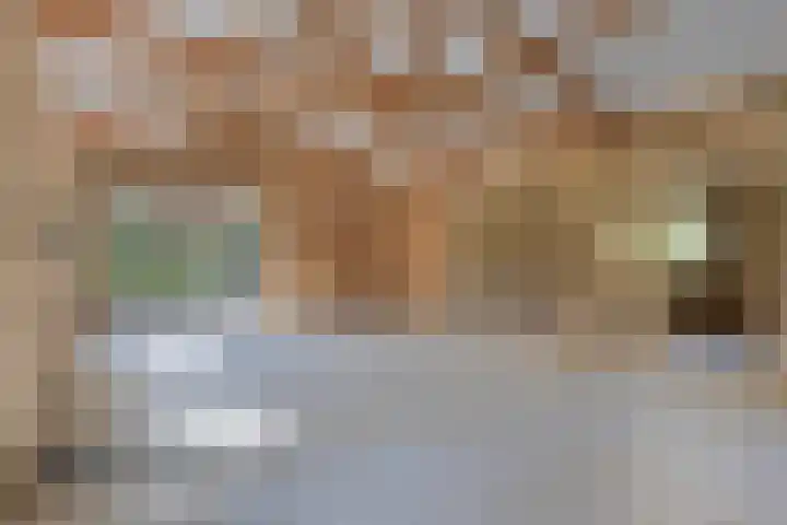 Fresia 2 Vinkel thumbnail 9