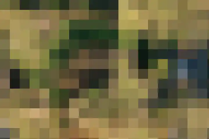 Fresia 39 Vinkel thumbnail 12