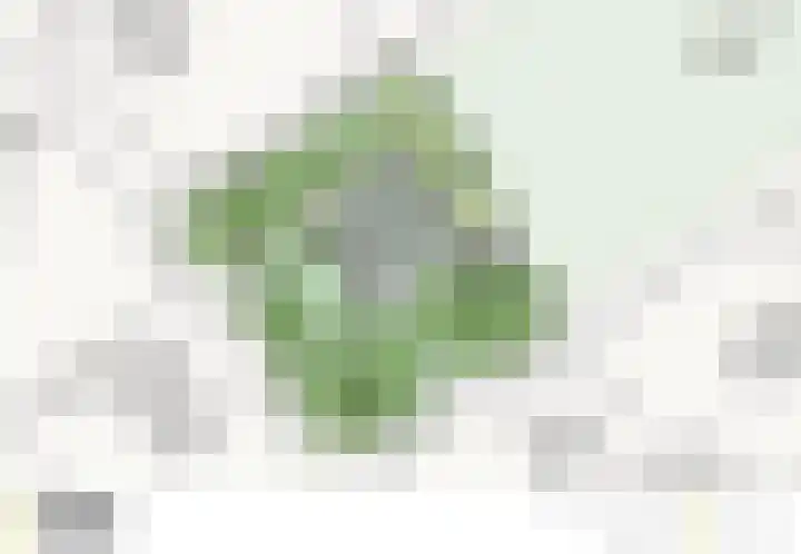 Fresia 39 Vinkel thumbnail 22