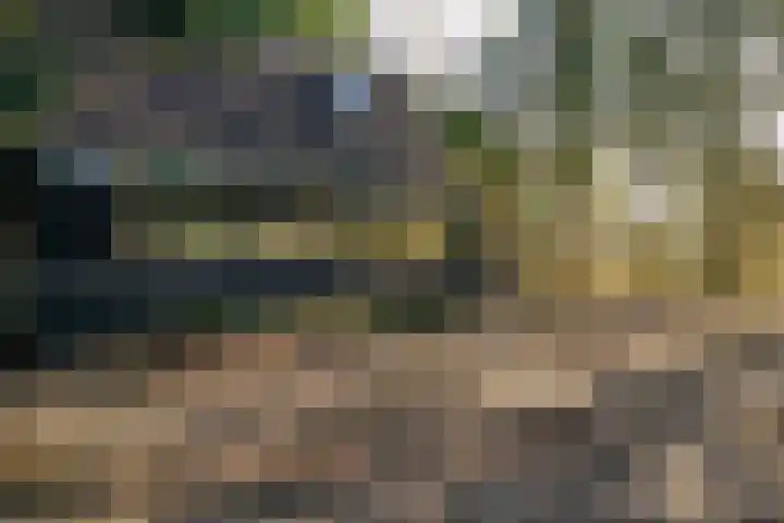 Fresia 39 Vinkel thumbnail 6